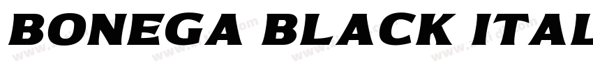 Bonega Black Italic字体转换